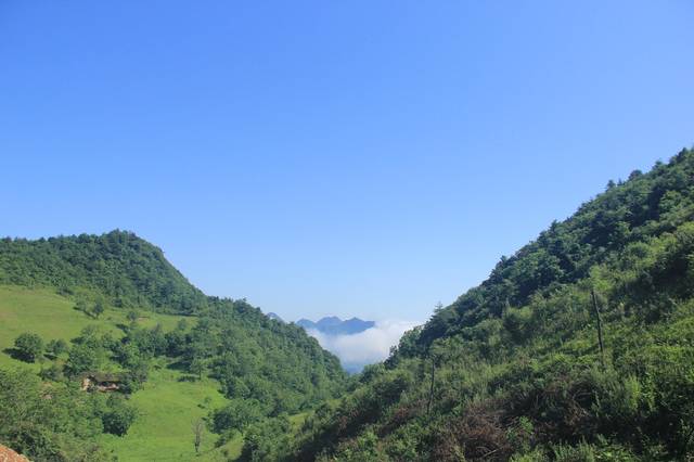 你在城市热浪中挥汗如雨 我在镇巴草坝子凉如深秋