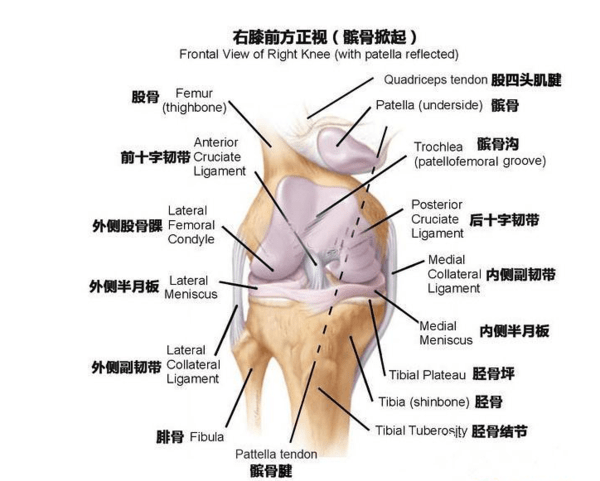 c罗却因膝盖受伤提前退场:我们