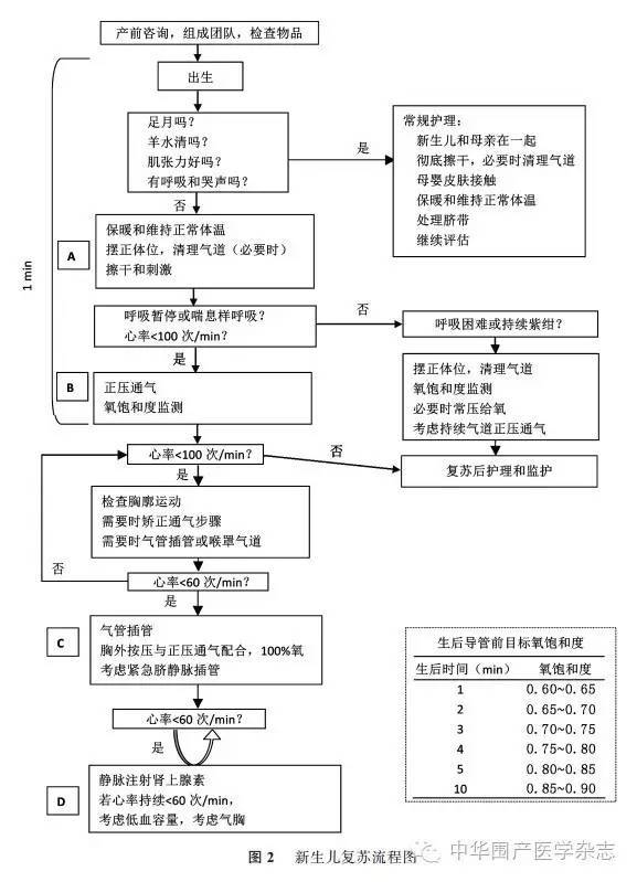中国新生儿复苏指南(2016年北京修订)