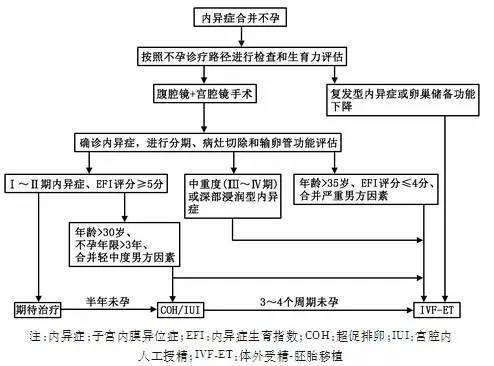 内异症相关疼痛的诊治流程图