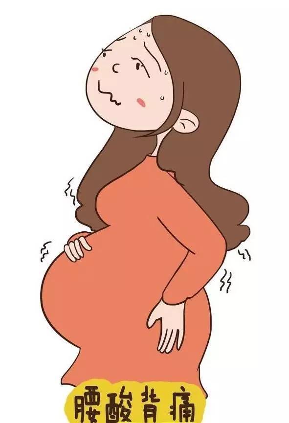 一张动图看清怀孕后准妈妈的内脏被挤成什么样!
