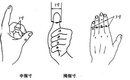 横指同身寸