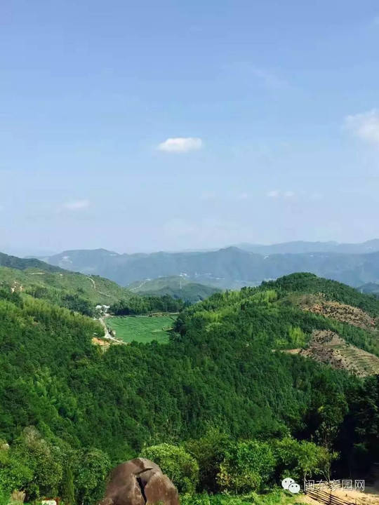 寿宁南山风景区地处寿宁县南阳镇南山山脉,由南山顶,金鸡山,葫芦岭,百