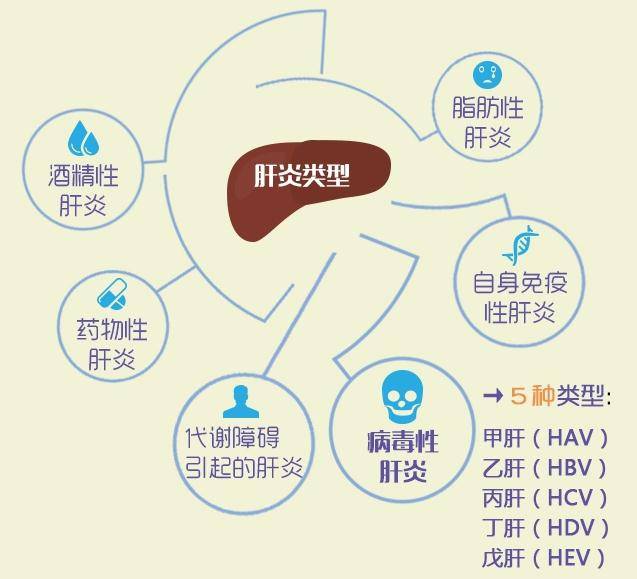 中国每13人中就有1人是肝病毒感染者