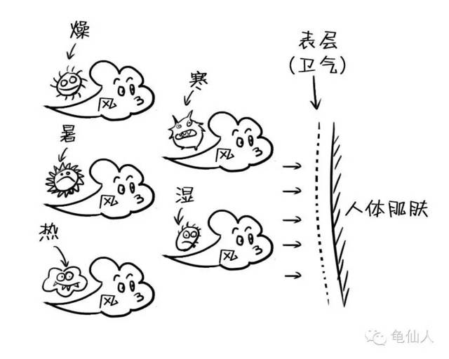 所以有"风为百病之长"的说法.