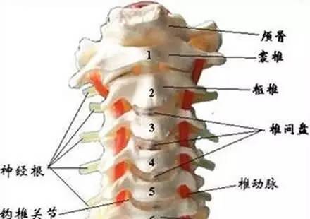 颈椎病背后的伪装面具