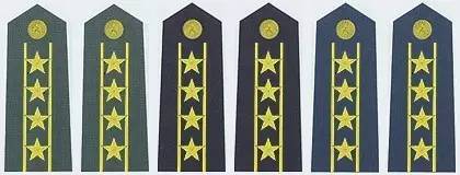 陆海空军少将常服肩章(2007-) 二,校官