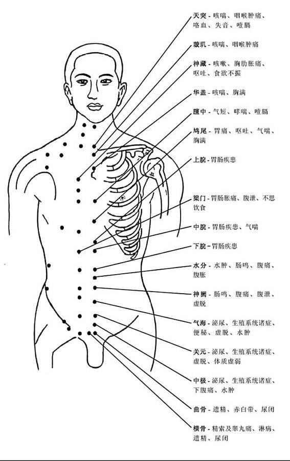 督脉主治神经系统,呼吸系统,消化系统,泌尿生殖系统,运动系统病症