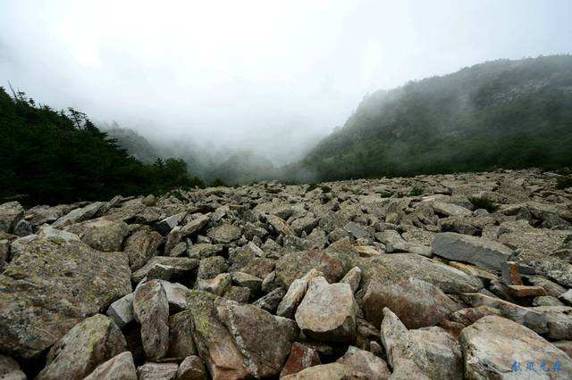 朱雀秦岭之巅的美丽草甸和冰缘石海