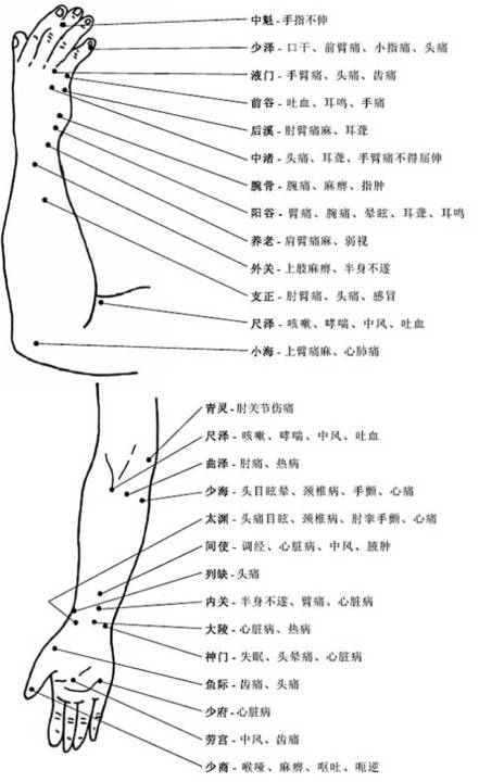 口诀为"三里内关穴,胸腹中妙决;曲池与合谷,头面病可彻;腰背痛相连