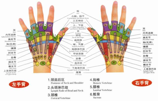 最详细的手掌穴位图解大全—小手掌大经络