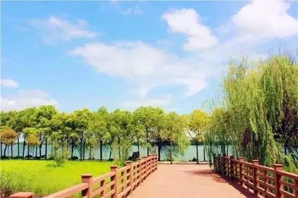 崇明岛     明珠湖公园