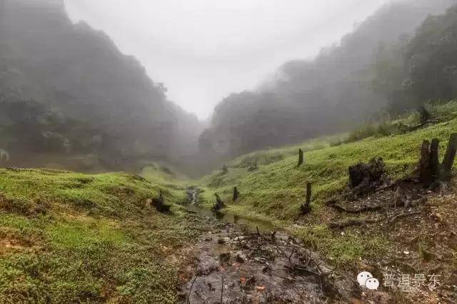 (来源:普洱景东) 平台声明