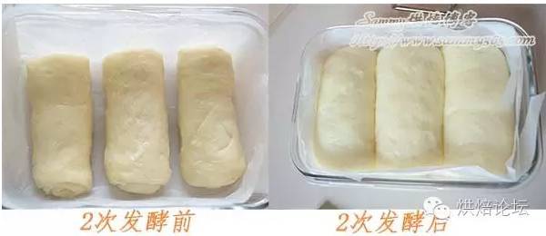 面筋形成/面粉发酵【史上最全面包制作攻略】