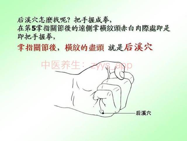 (即把手握拳,掌指关节后横纹的尽头就是该穴.