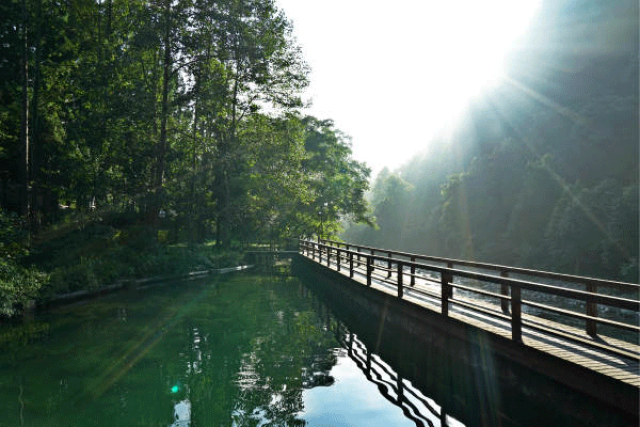 贵州铜仁必游景点梵净山生态植物园