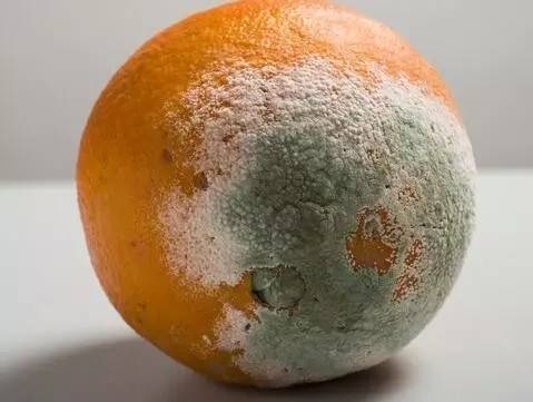 火爆南昌的"5个橙子"自助鲜榨橙汁你买过吗?里面竟发现…或损伤肝肾!