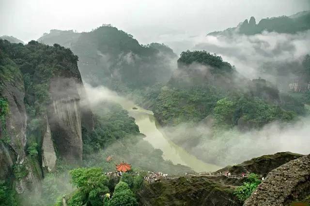 提起武夷山,大家更为熟知的是大红袍,岩茶吧