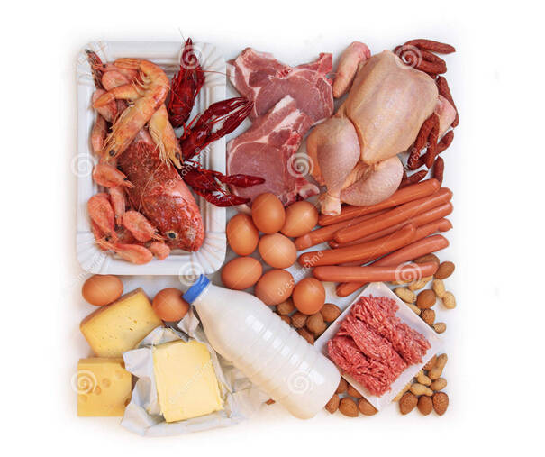 常见高蛋白食物索引(每100克食物含蛋白质)【食物名称 含量(克)】