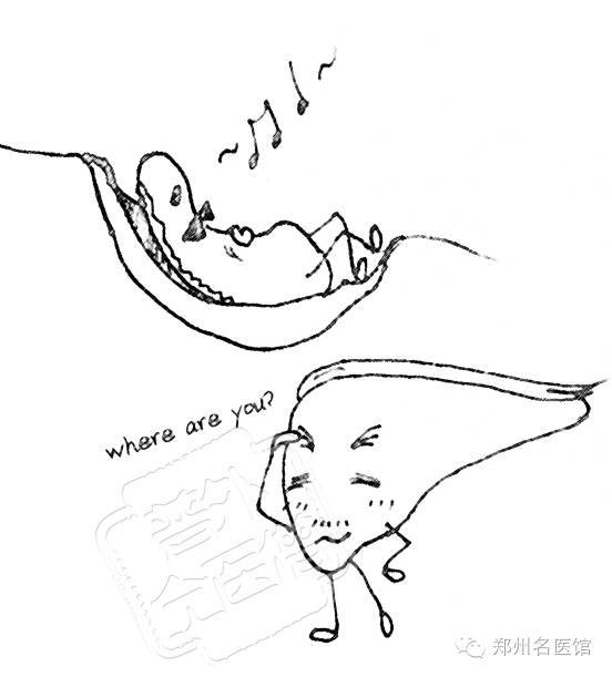 胆囊,位于肝脏后方的"胆囊床",是长相似梨的囊袋的专属位置.