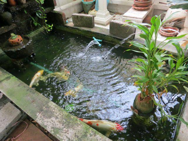 庭院里做个水池,农村建房子都信风水,做买卖的建水池可以招财.
