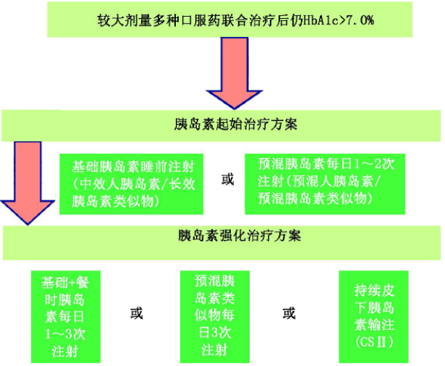 四   型糖尿病的胰岛素治疗路径