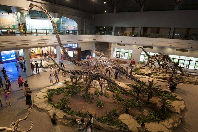 恐龙博物馆 孩子们的侏罗纪公园
