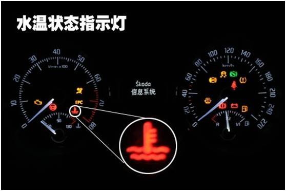 这个指示灯就真的太常见了,用来提醒车辆驾驶员及时为车辆添加加