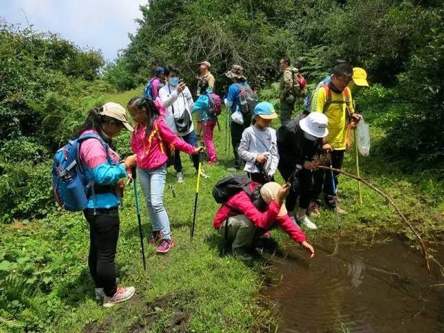 昆明十峰之嵩明大尖山回顾