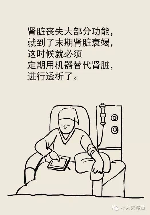 男人和女人的肾都不能衰