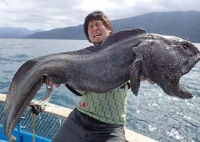 日本渔民去海边钓鱼,钓上一跳变异鱼把他吓坏了