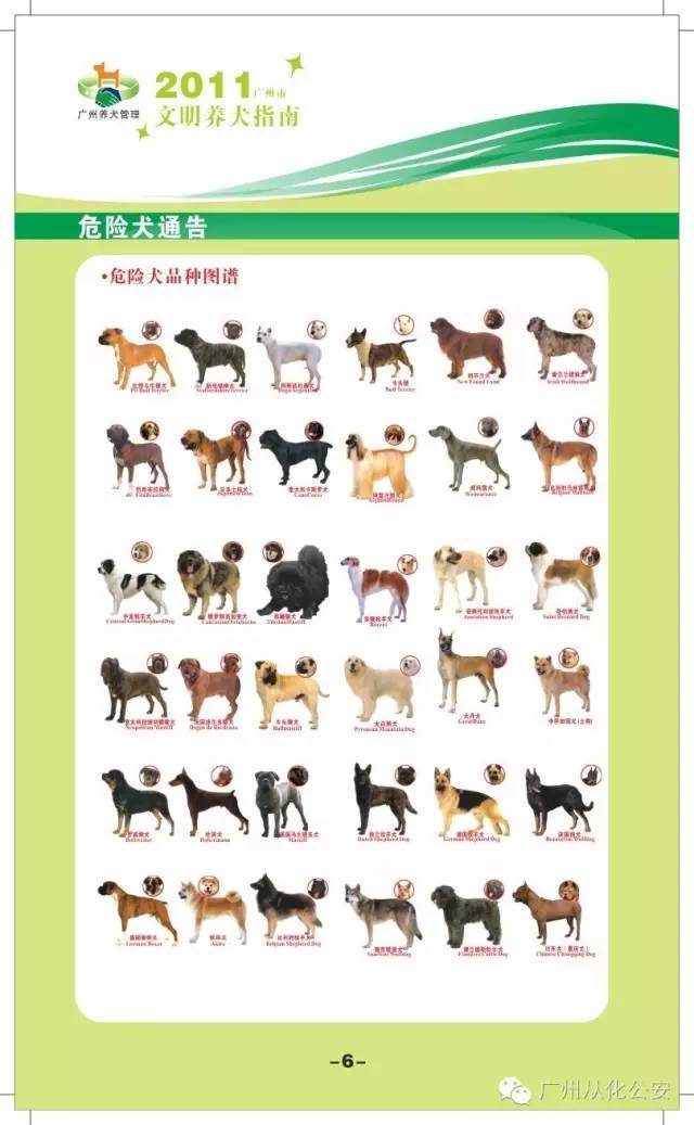【爱犬人士必看】广州市这36种狗仔被禁养?居然连土狗都禁养.