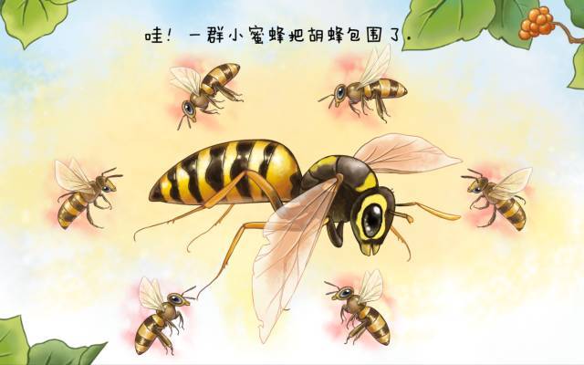 一只勤劳的小蜜蜂带你走进神奇的蜜蜂王国