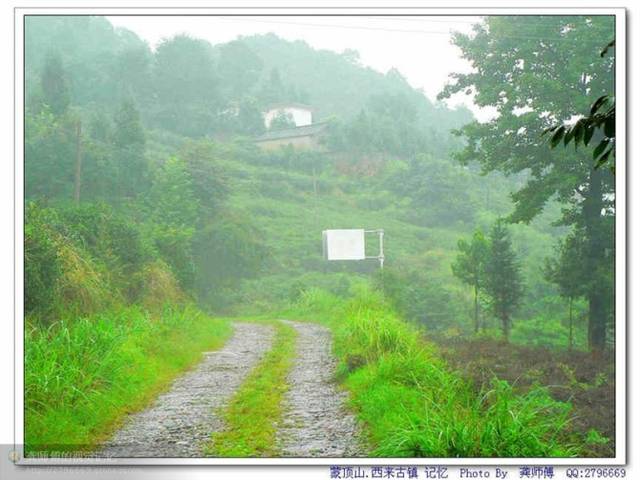 四川旅游攻略(3:雅安:雅鱼,雅雨,雅女