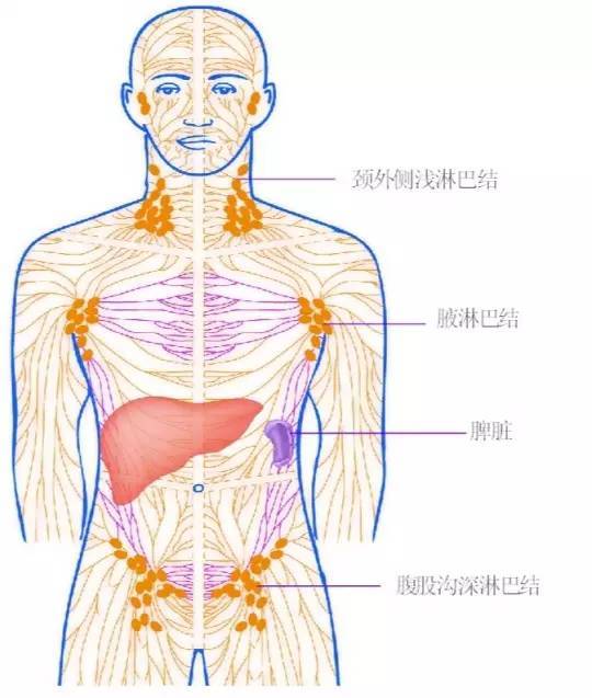 小心!演员徐婷自称因甲醛中毒得的淋巴癌,被称为"最会伪装的病"