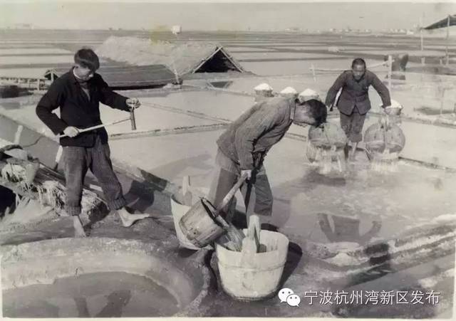 形成近十万亩的庵东盐区,为全国十大盐场之一 1950年,庵东上缴盐税占