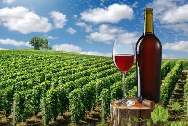 武威盛产葡萄酒的历史源远流长,是中国葡萄酒的故乡.