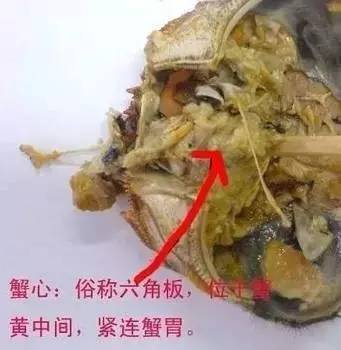 1,螃蟹:4个部位不能吃 虾头尽量不吃,因为有些毒素以及重金属残留物