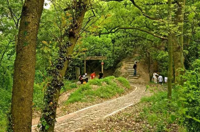 西山游步道