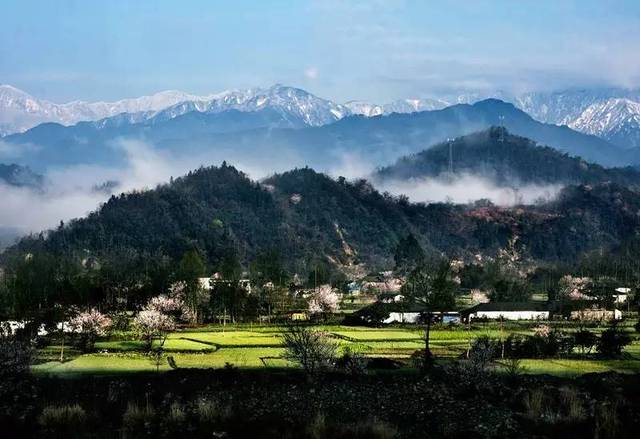 小鱼洞镇鱼洞村