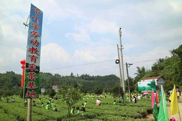 18日,常德市桃源县中小学生劳动教育基地盛大起航,迎来了四百多位前