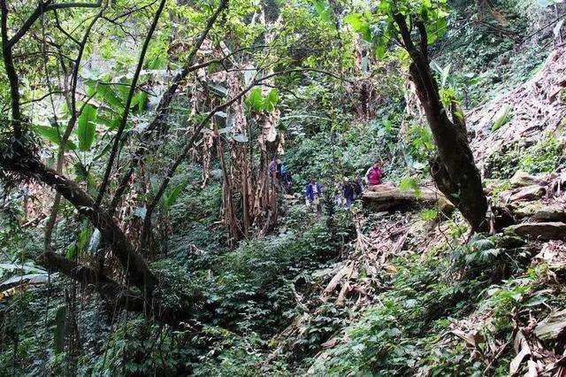 最美原始森林高黎贡山户外徒步穿越游记