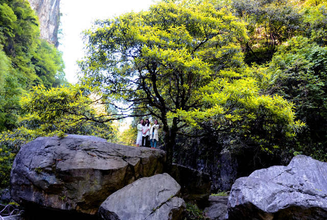 让人看花眼的风景 游一次相当玩半个中国