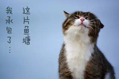 猫吃鱼狗吃肉奥特曼打小怪兽这句话怎么理解?要理解的深入点