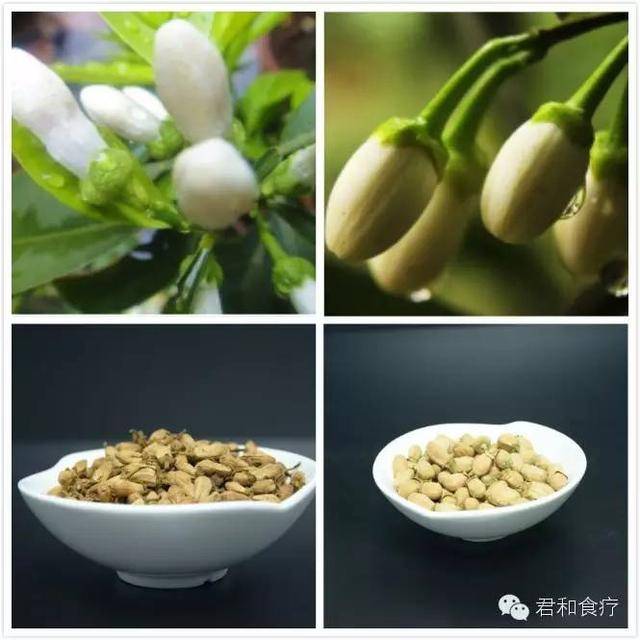 代代花(玳玳花),小编告诉你为什么养生堂也推荐