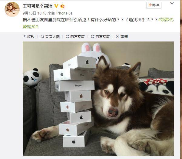 王思聪给狗买8台iphone7,有网友表示愿意嫁给他的狗