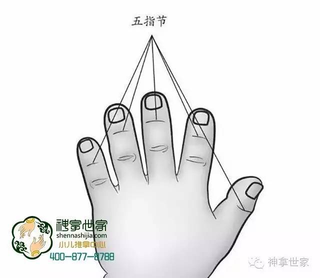 掐揉五指节和四横纹给宝宝治咳嗽,疳积,消化不良!