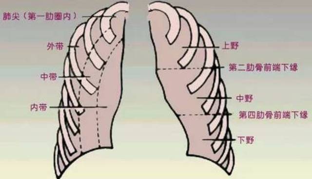 读胸片,牢记"abcde"!