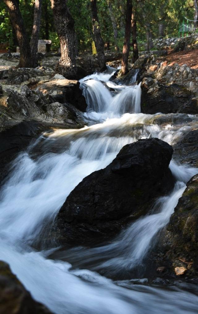 万水千山走遍,还是忍不住想你,中财大