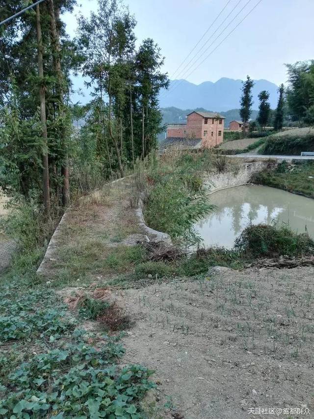 重庆山区饮水梦:大学生返乡寻水记